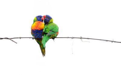 The right time to speak the truth about love?