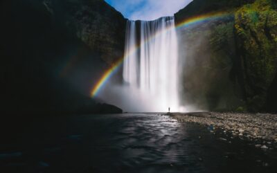 Nature as a Teacher Continues to Guide Us